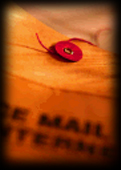mail.JPG (22020 bytes)